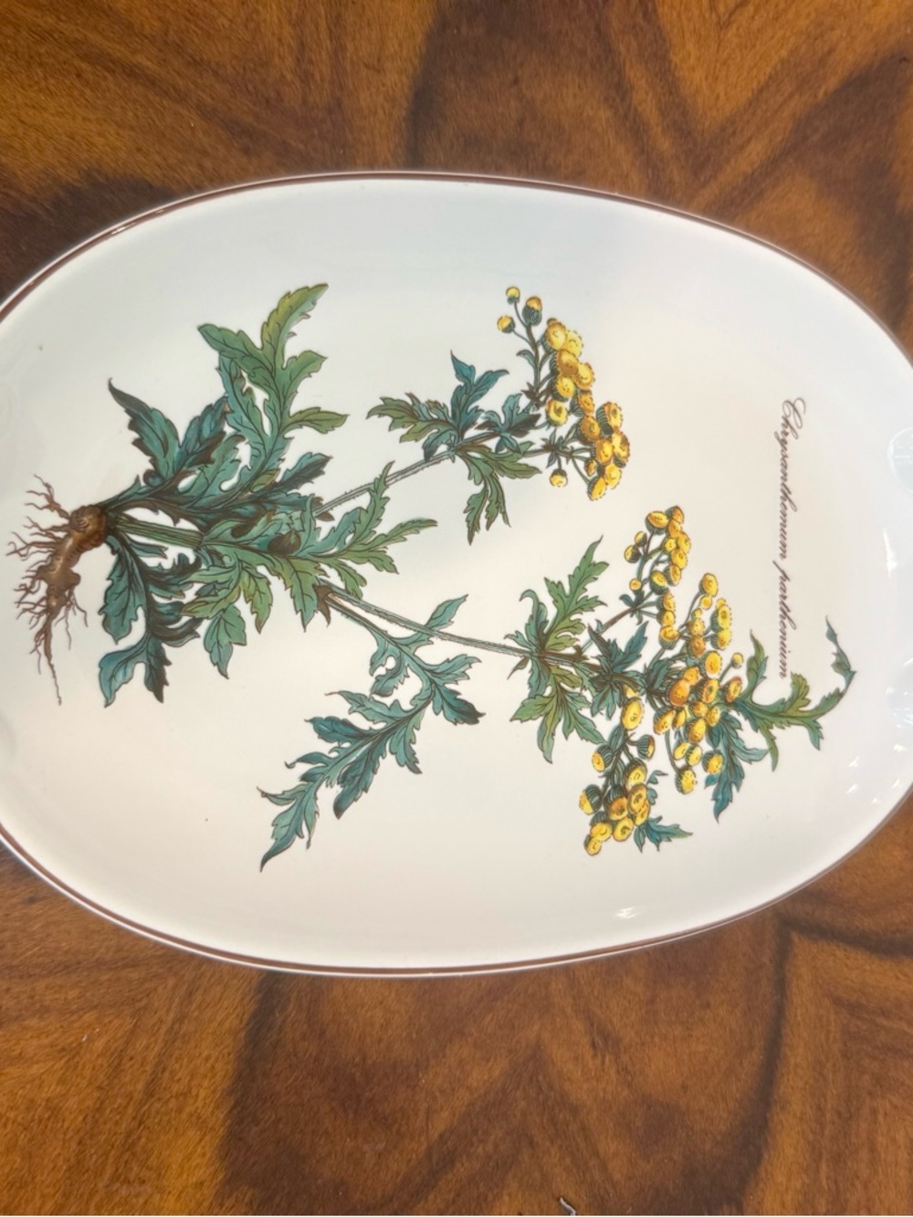 Villeroy And Boch Botanical 10” Porcelain Serving Dish - Picture 3 of 8
